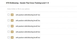 STX Kickboxing Savate-Thai Cross Training Level 1-5