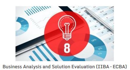 Business Analysis and Solution Evaluation (IIBA - ECBA) Review Archives Sns-Brigh10