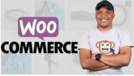 WordPress E-commerce Build Two Stores and a Membership Site