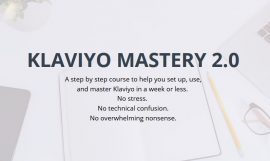 Andriy-Boychuk-Flowium-Klaviyo-Mastery-2.0