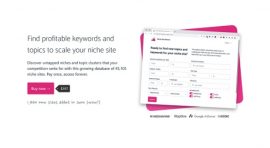 Ian-Nuttall-Niche-Site-Metrics